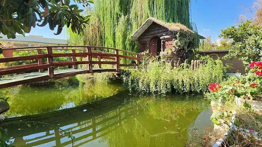 بهترین کافه های شیراز کافه برکه